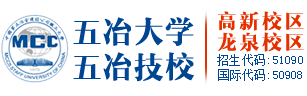对口升学班招生-专业设置-五冶大学-五冶大学官网-五冶大学龙泉校区五冶大学高新校区